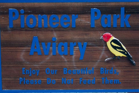 Aviary at Pioneer Park