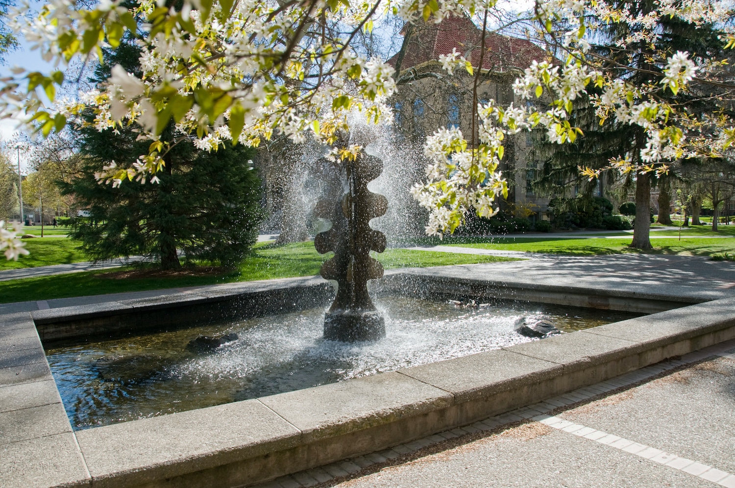 Whitman College Artwalk - Fountain