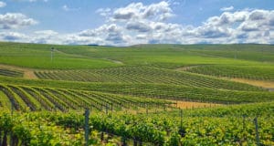 Things to Do in Walla Walla - Sightseeing & More in E. Washington State