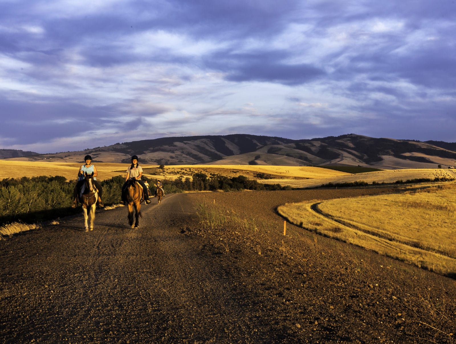 Things to Do in Walla Walla with Kids Parks & Family Friendly Activities