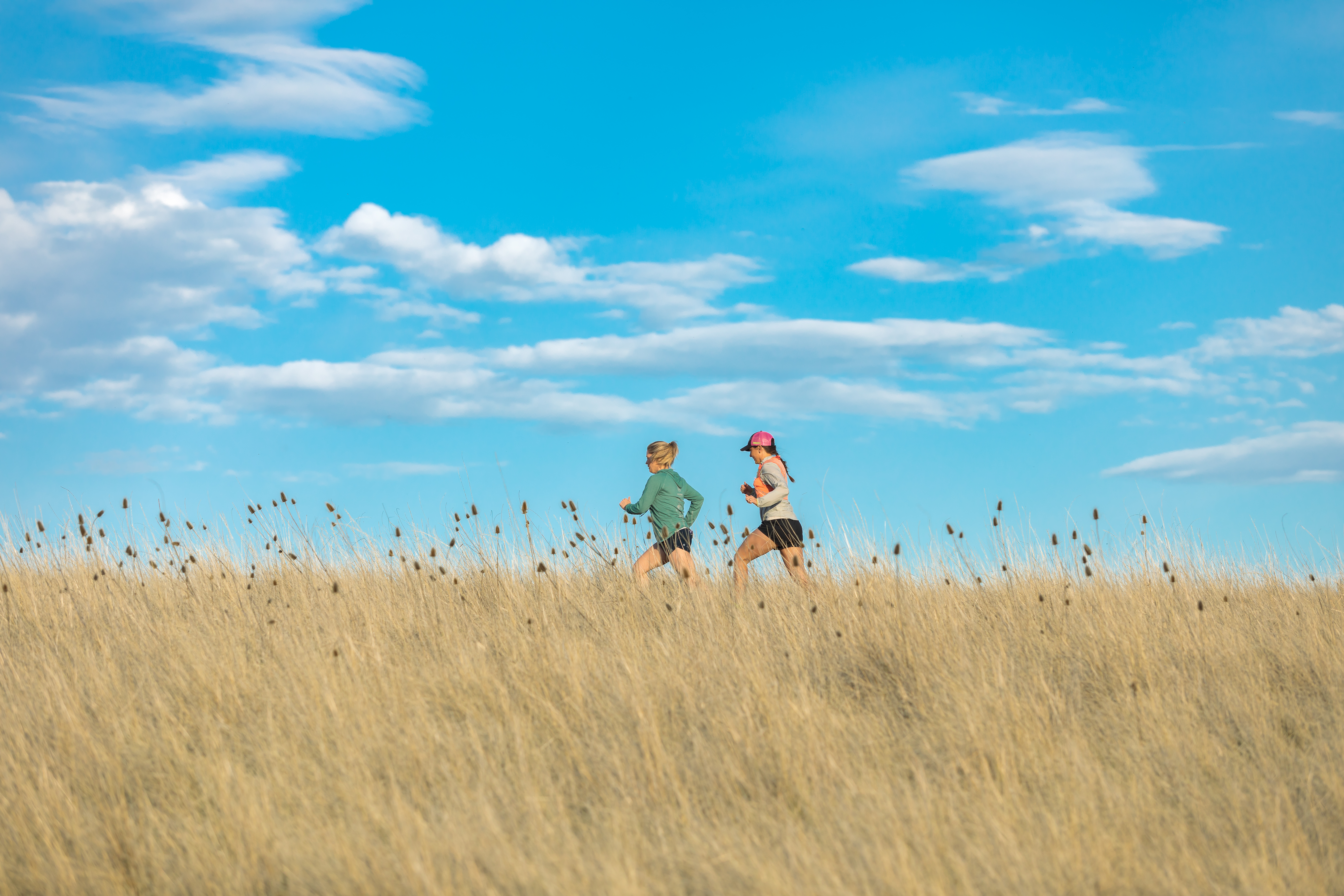 Runners over the Palouse fields