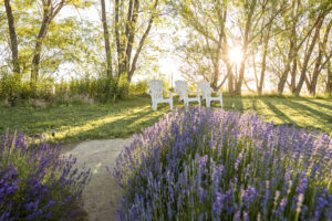 Things to Do in Walla Walla - Wineries, Restaurants, & More Visit