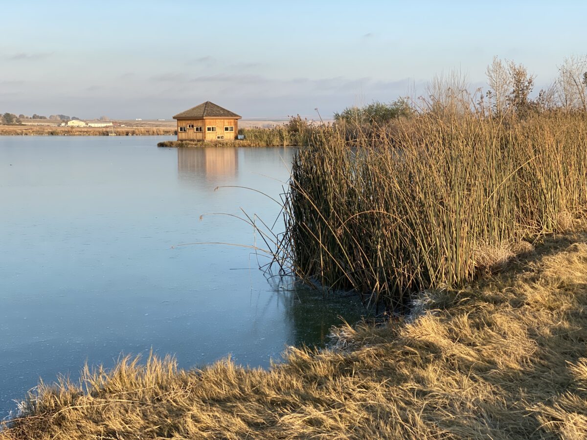 McNary Wildlife Refuge Visit Walla Walla