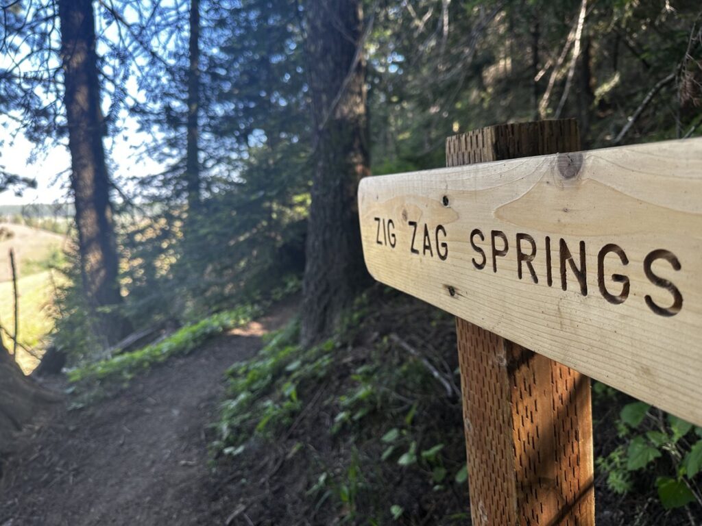 Sign pointing towards Zig Zag Springs