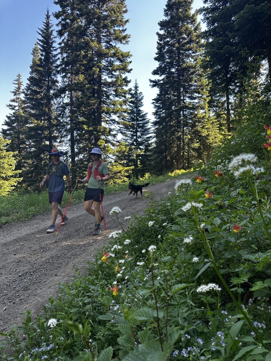 Hiking Bluewood Ski Area: A Tale of Two Seasons - Visit Walla Walla