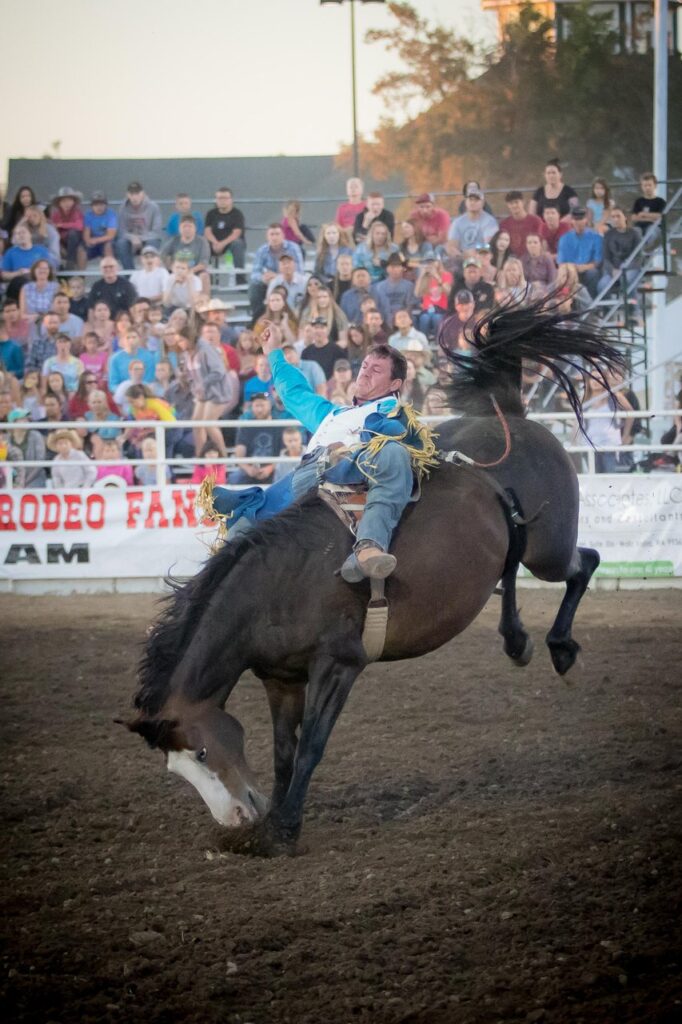 Rodeo