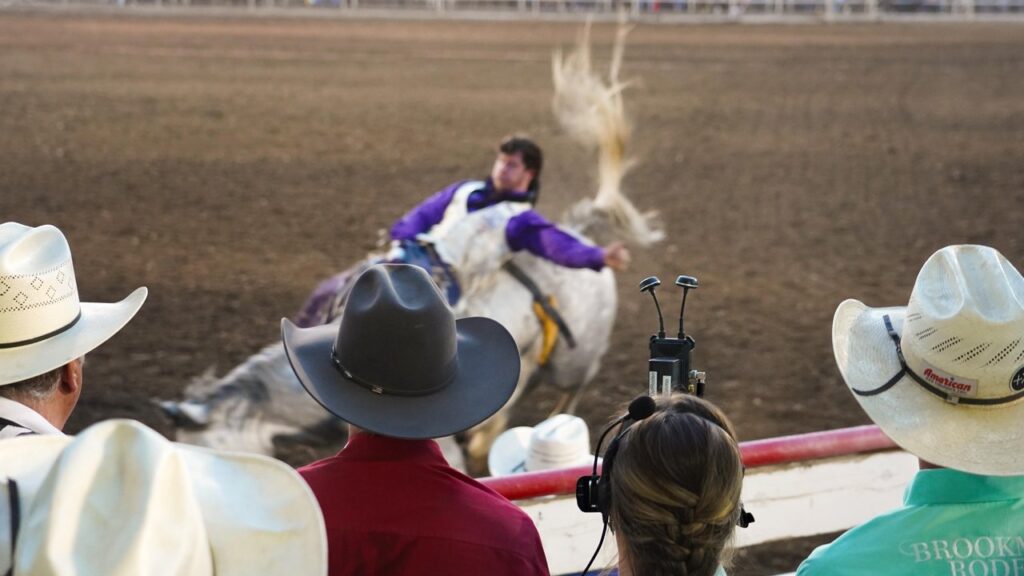 Rear view of rodeo attendees in the stands watching a cowboy struggle to not be bucked off his horse.