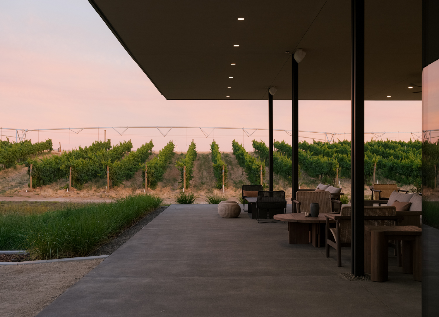 Everen vineyard @ sunset