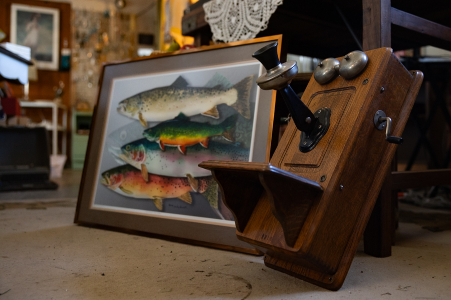 Tricycled Treasures interior phone & fish