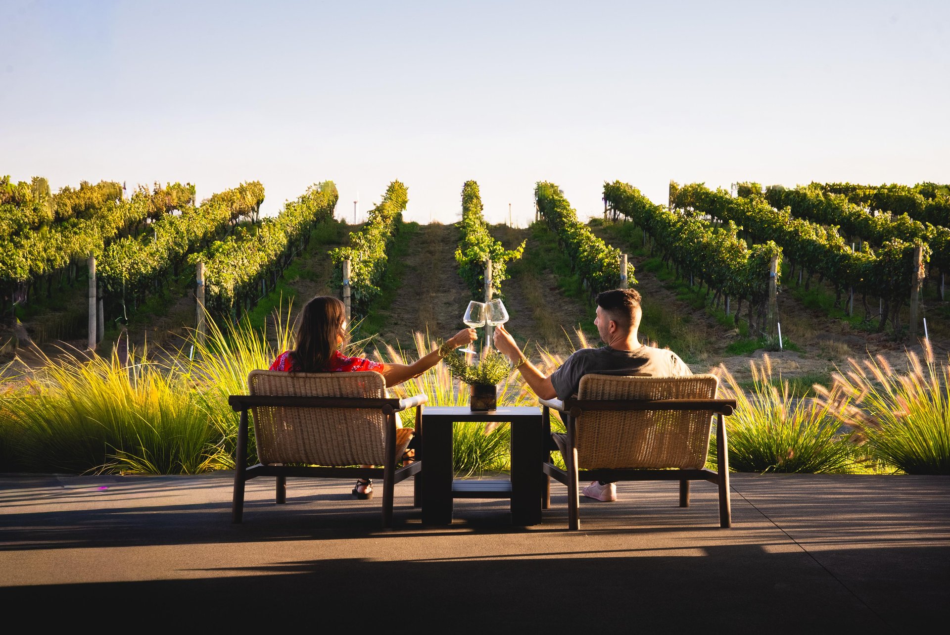 Relaxing landscape at Everen Wines