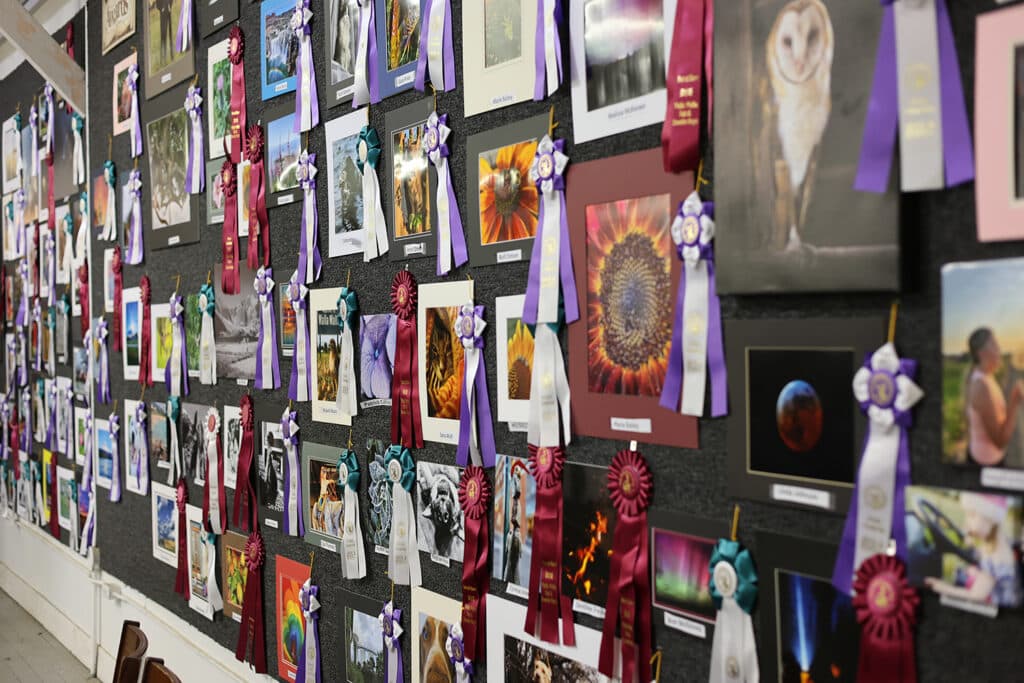 WW Fair & Frontier Days exhibitors & entries